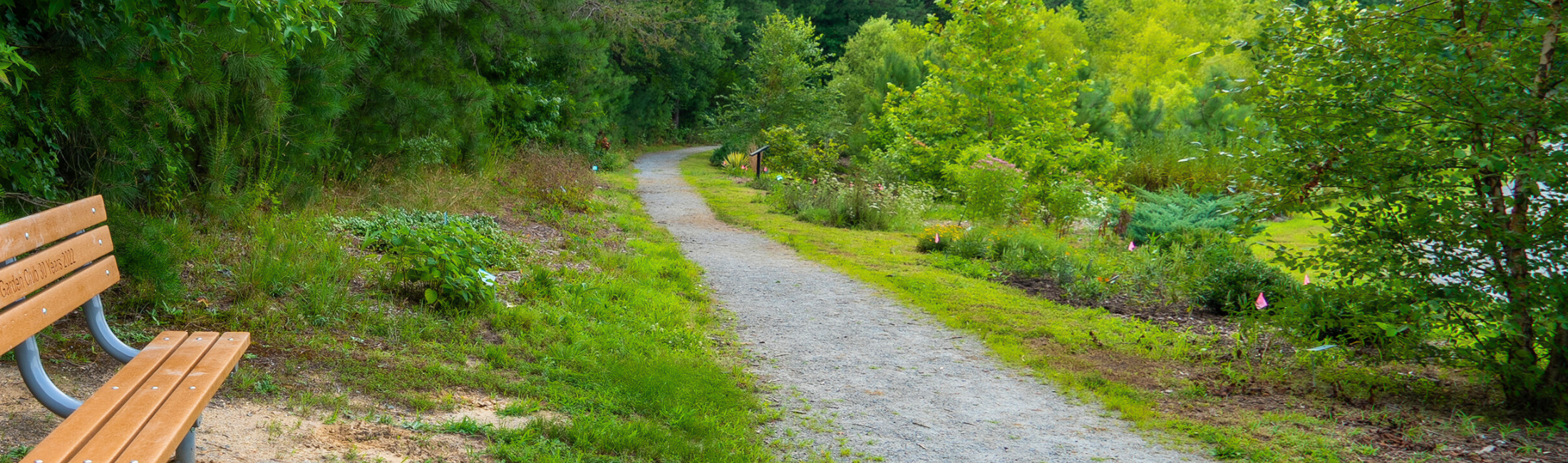 Nature trail at Cedell Brooks, Jr. Park