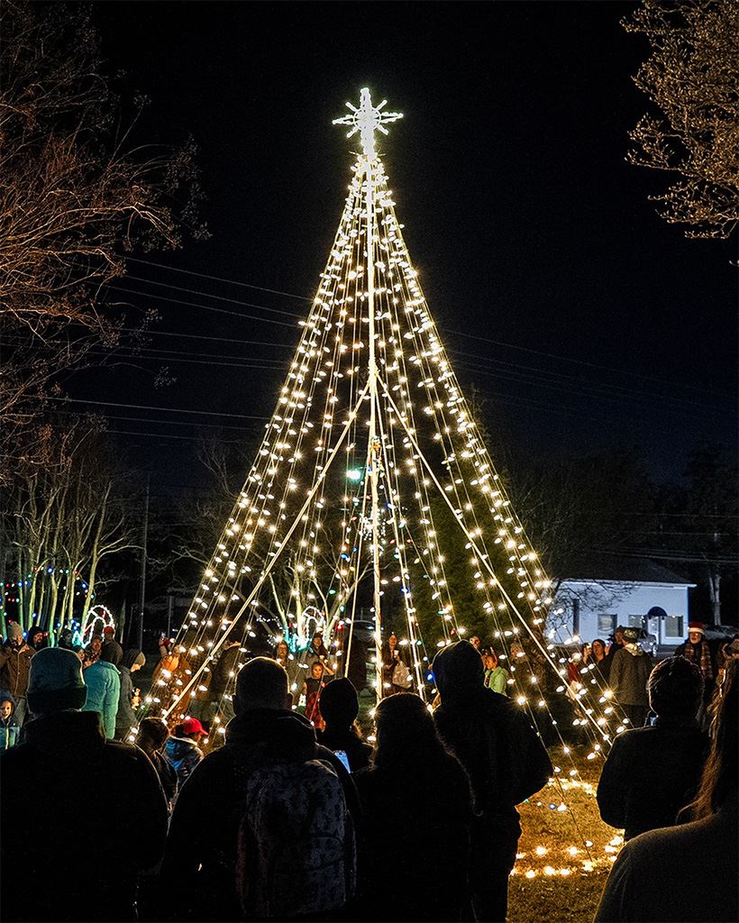 Christmas tree lit up with shadows of people surrounding it.