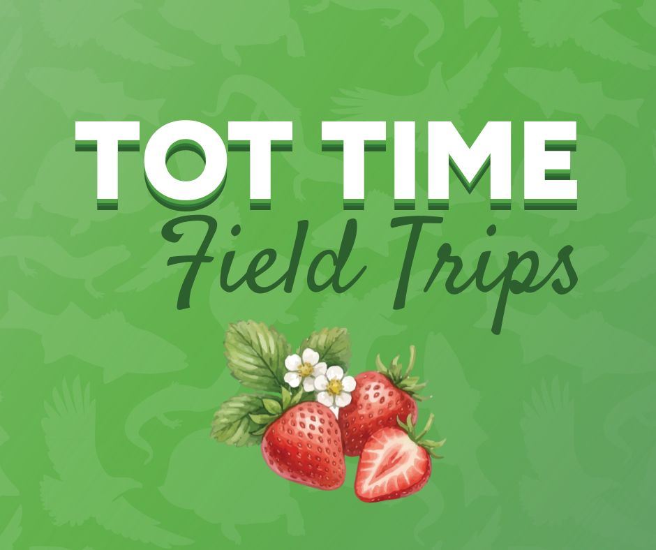 Graphic image in green with Tot Time Field Trips with three strawberries at the bottom.